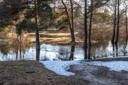 High water, the river overflows its banks. Flooding in the forest.