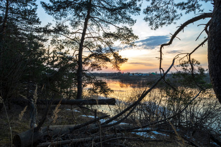 River sunset quiet landscape view. Evening by the river. Pine trees against the background of the evening landscape.の写真素材