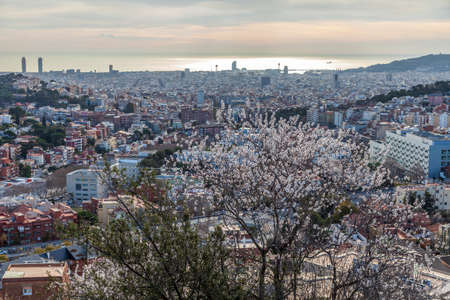 View of the neighborhood of Barcelona from Mount Tibidabo. Early morning in Barcelona. Blooming tree on the outskirts of the city. Almond blossoms in the foreground.の写真素材