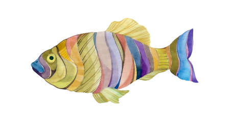 Abstract watercolor painted fish. Isolate on a white background multicolored, tropical fish.