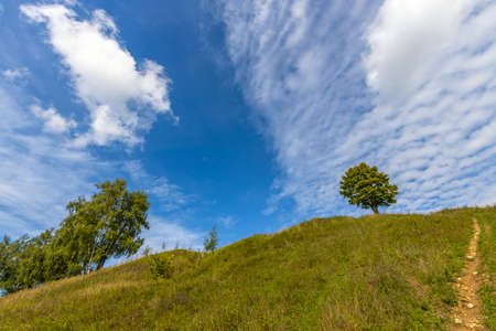 Picturesque landscape spring evening. The sun's rays illuminate the young greenery. Early spring in an oak grove.の写真素材