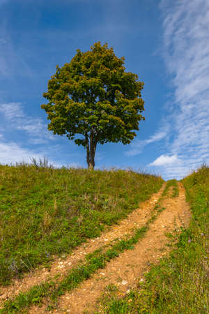 Cloudy sky over the river in the evening. Picturesque landscape with clouds and a river. Bright green grass in the foreground.の写真素材