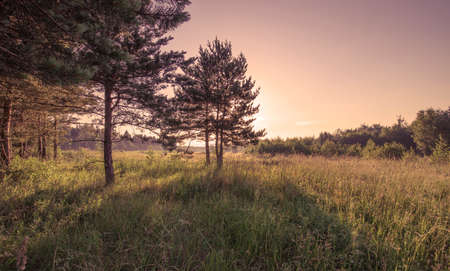 Masterful woodworking processes for decorating wooden doors.の写真素材