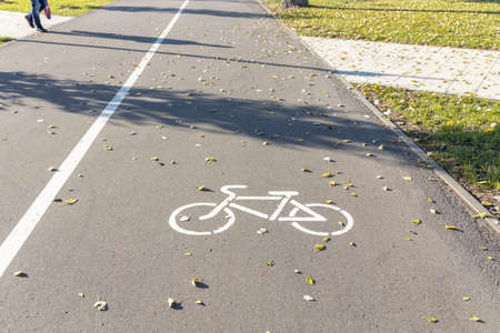 White road markings for pedestrians and cyclists The walking and cycling paths in the park are separated from each other. Infrastructure for walking and physical activity in the parkの写真素材