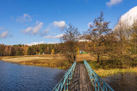 Autumn landscape with early morning fog. Birch trees with bright yellow foliage illuminated by the sun. Trees and hills in the fog. Dawn on a cold autumn morning.の写真素材
