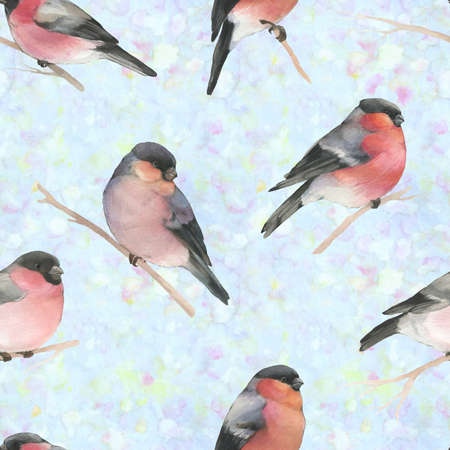 Bullfinches seamless pattern. Watercolor winter birds. Symbol of winter, new year, christmas. Watercolor illustration of a bullfinch, for design, wrapping paper.の写真素材