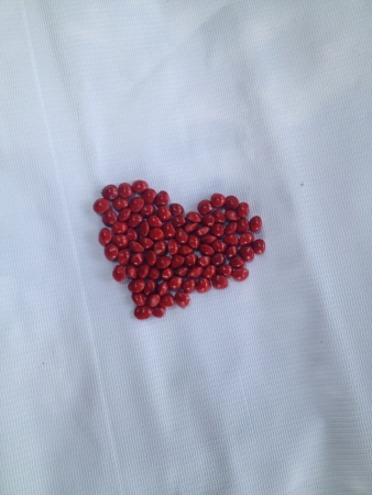 Heart in beansの素材