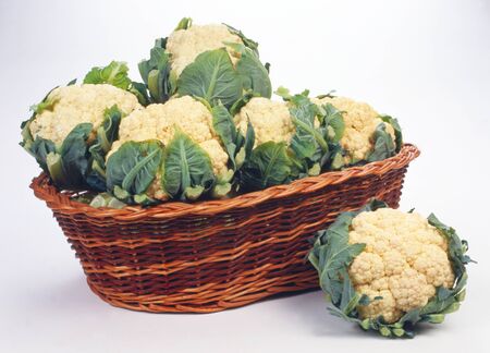 Cabbageの写真素材