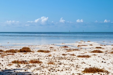 Key West beach detail, Florida, USA の写真素材