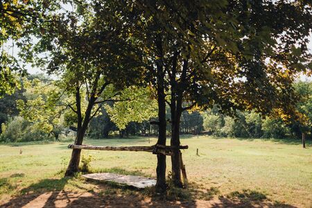 Meadow in the middle of the forest. Summer dayの写真素材
