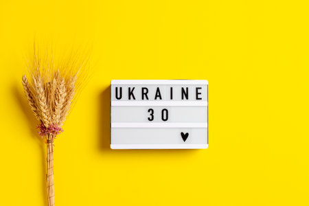 Composition with the lamp Ukraine and ears of wheat in honor of the independence of Ukraine on a yellow background.の写真素材