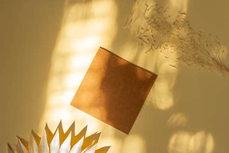 Composition with fan, empty leaf and ears on a delicate background.の写真素材