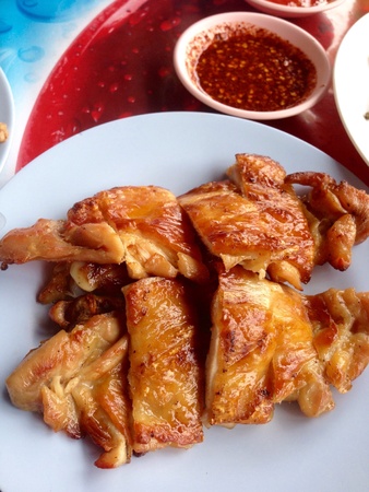Grilled chicken with sauceの素材