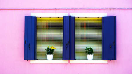 Two blue Windows with white frame in Burano on pastel pink color wall building architecture, Venice,...