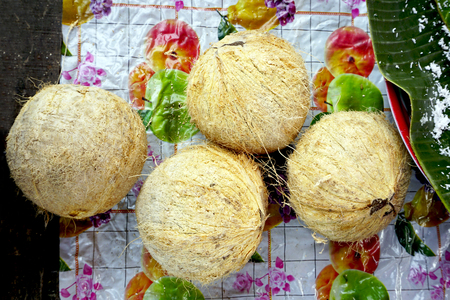local Coconuts at Fresh market in Luang Prabang, Laosの写真素材