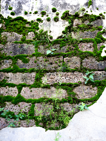 antique wall with moss on laterite stone at temple in Sukhothaiの写真素材