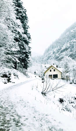 Walkway hiking epic mountain outdoor adventure to destination the old salt mine of Hallstatt pass the pine forest and Winter snow mountain landscape outdoor adventure, Austriaのeditorial素材