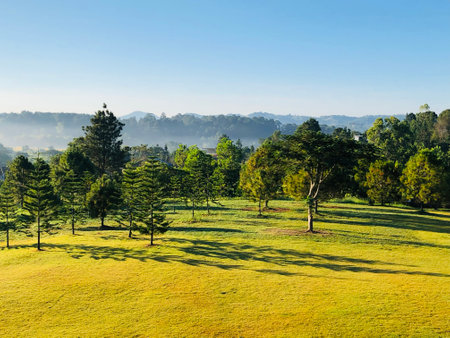 Landscape sunrise with fog in the valley, green field and green trees in the Northern of Thailandの写真素材