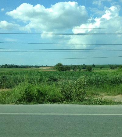 Wires are rigging beside mass of grassesの素材