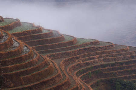 terrace with withered grassの写真素材