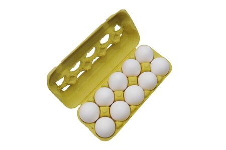 egg