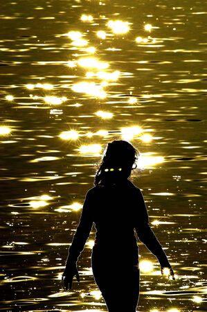 Sunset              の写真素材