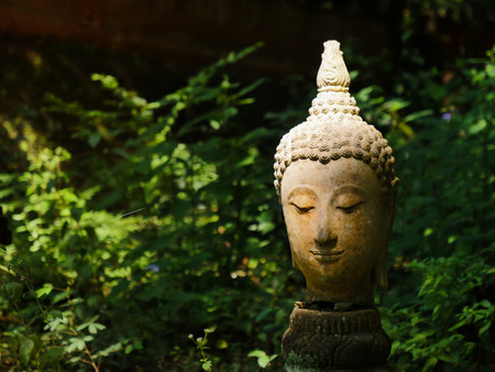 The buddha stone head place in the green forestの写真素材