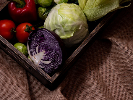 mixed of vegetable in the tray with dark backgroundの写真素材