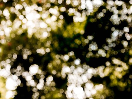 Light spot bokeh background with circle shapeの写真素材