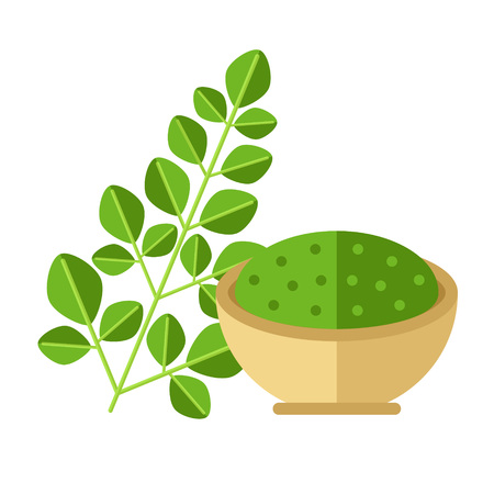 Moringa plant with leaves and seed powder. Vector illustration. Superfood moringaceae family icon. Healthy detox natural product. Flat design organic food.のイラスト素材