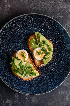 Tasty sandwich with avocado and egg on a dark blue plate. served on fried bread with avacado, egg, basil, sesame seeds and olive oil.の写真素材