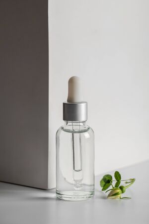 Serum for skin care in a transparent glass bottle with a pipette and rose hips on a light background. The play of light and shadow. Beauty and health concept.の写真素材