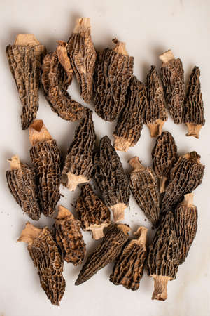 Dried morels are laid out on a light background. Delicacies of Italian cuisine.