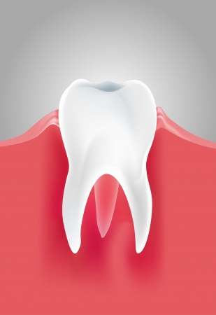 Toothのイラスト素材