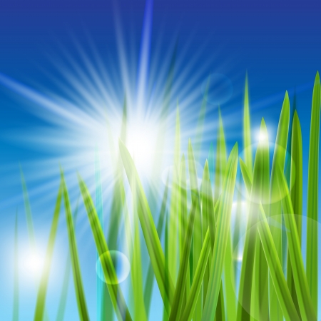 The illustration of beautiful green grass. Vector image.のイラスト素材