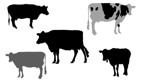 Black vector illustration of different cow's silhouettesのイラスト素材