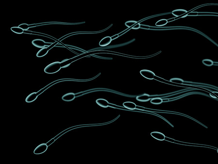 Sperm and egg cell microscopic view. 3D renderingの写真素材