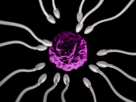 Sperm and egg cell microscopic view. 3D renderingの写真素材