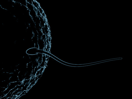 Sperm and egg cell microscopic view. 3D renderingの写真素材