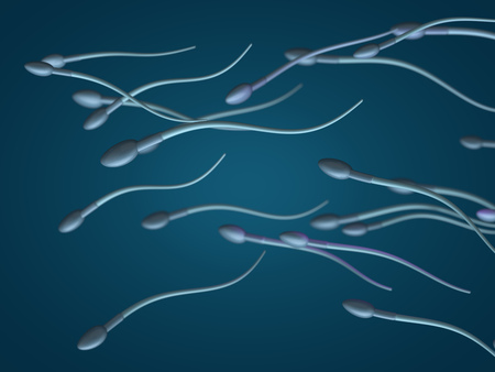 Sperm and egg cell microscopic view. 3D renderingの写真素材
