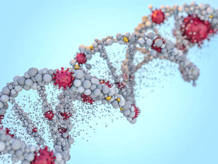 Covid-19. Pathogen respiratory coronavirus 2019-ncov flu. Virus attacks DNA. 3D renderingの写真素材