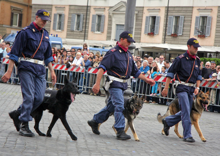 Rome, Italy - May 17, 2008: Three men of the police department dog lovers perform in an exercise to the streets with their dogs, during the celebrations of the 156th anniversary of the birth of the Italian State Police.のeditorial素材