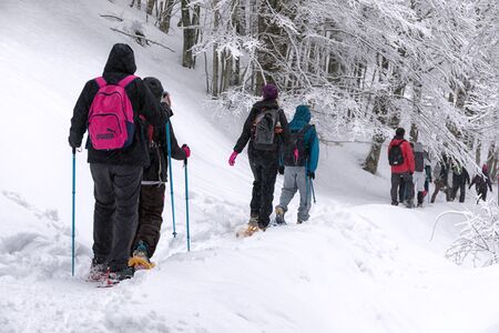 Subiaco, Italy - February 25, 2018: In the middle of winter, group of people take an excursion on the snow-covered mountain, wearing snowshoes on their feet to avoid sinking in the fresh snow, with the help of trekking poles.のeditorial素材