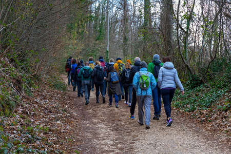 Rocca di Papa, Italy - February 29, 2020: Group of hikers walk in a row on the path in the woods, between beech and chestnut trees.のeditorial素材