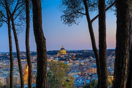 The skyline of the city of Rome with St. Peter's Basilica, panoramic view among the pine trees.の写真素材