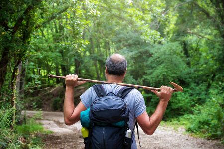 The man walks on the path in the woods, carrying his trekking stick on his shoulders. All around the rich surrounding vegetation with the green of the plants and trees of the natural environment.の写真素材