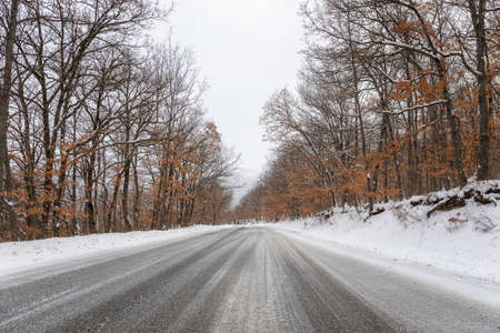 Snow-white road, all around the forest of oak trees covered with snow. Winter landscape.の写真素材