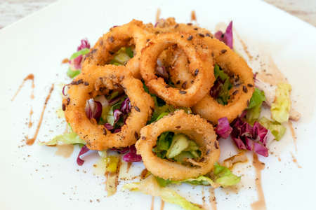 Fried squid rings breaded - white plate