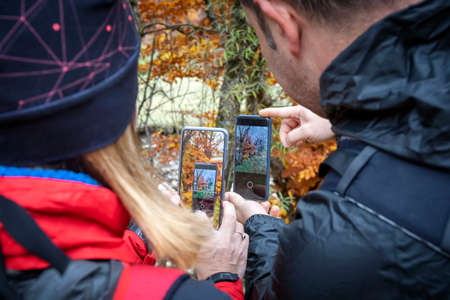Hikers photographs the foliage of the trees with his mobile phone, during the autumn season.の写真素材