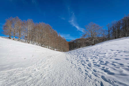 Mountain path covered with snow in the winter forest. Mountain road covered with snow.
